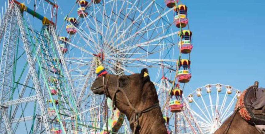 श्री पुष्कर मेला 2025 का विधिवत शुभारंभ आज, ध्वजारोहण के साथ होंगे अनेक रंगारंग कार्यक्रम