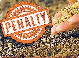 सरकार की बड़ी तैयारी… घटिया बीज दिया तो लगेगा भारी जुर्माना