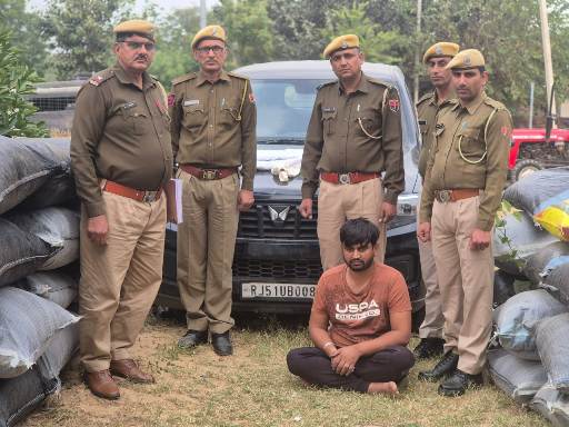 नागौर में बड़ा एक्शन: ऑपरेशन नीलकण्ठ के तहत 425 किलो डोडाचूरा जब्त