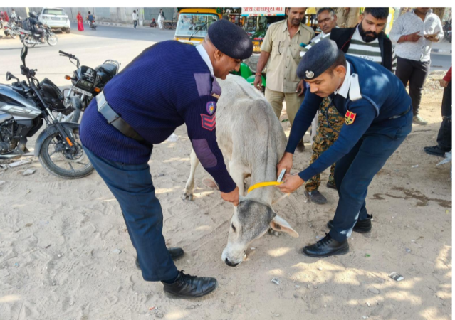राज्य सड़क सुरक्षा रणनीति के तहत यातायात जन-जागरूकता अभियान